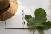 Fig Leaf On Paper