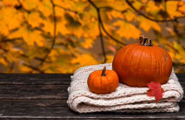 Wall Mural - Orange pumpkins on top of warm scarf on wooden table with autumn foliage background