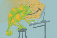 The Coding Chameleon