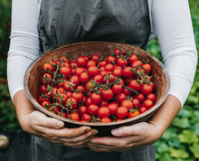Ripe Cherry Tomatoes In A Wooden Bowl.