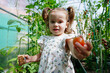 © AD Astra Team/Stocksy - Mom and daughter are picking vegetables in the greenhouse