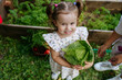 © AD Astra Team/Stocksy - Mom and daughter are picking cabbage in the garden