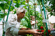 © AD Astra Team/Stocksy - Mom and daughter are picking vegetables in the greenhouse