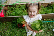 © AD Astra Team/Stocksy - Little girl with cabbage in the garden