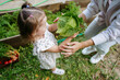 © AD Astra Team/Stocksy - Mom and daughter are picking cabbage in the garden