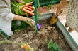© AD Astra Team/Stocksy - Mom and daughter hold a bunch of carrots near a country house