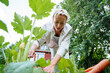 © AD Astra Team/Stocksy - A woman collects zucchini from the garden