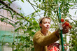 © AD Astra Team/Stocksy - A woman in a greenhouse collects tomatoes