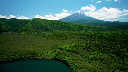 Wall Mural - 青木ヶ原樹海と富士山を空撮