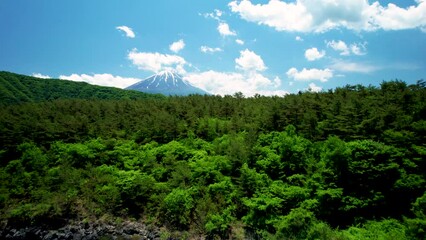 Wall Mural - 青木ヶ原樹海と富士山を空撮