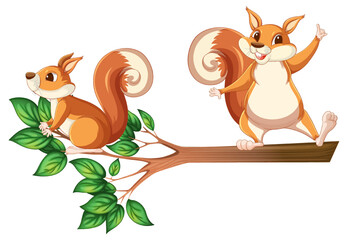 Wall Mural - squirrels on the tree branch