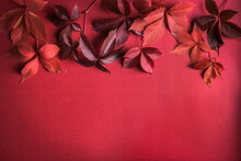 Autumnal Red Leaves On Red Background