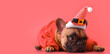 Cute French bulldog in Santa hat and sweater on pink background