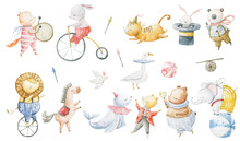 Cute Childish Watercolor Illustration With Funny Characters, Baby Animals In Circus. Kids Design, Art, Decor. Hand Painted Illustration. Animals Juggle On Bicycles