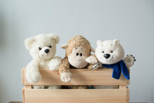 Soft Children's Animal Toys In A Wooden Box