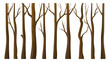Trees without leaves elements vector illustration