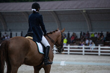 Rider With Horse Close-up In Dressage Competition In Arena. Equestrian Sport In The Rain. Back View.