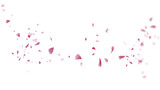 Fototapeta Konie - Beautiful floral overlay with flying pink petals at transparent background 