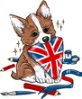 corgie puppy dog with an english flag, and pencils and stars