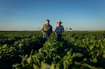 Wall Mural - Two farmers in a field examining soy crop.