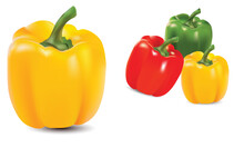 Red And Yellow Bell Pepper Vector Logo Icon Capsicum Illustration Flat Clipart