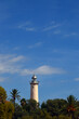 Faro de la playa de Vilanova entre árboles y palmeras