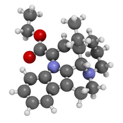 Wall Mural - Vinpocetine molecule. 3D rendering.  Semisynthetic vinca alkaloid derivative, used as drug and as dietary supplement.