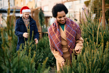 Happy black woman choosing Christmas tree on winter market.