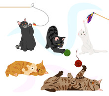 Cute Cats, Cat Playing, Ball, Pillow, Cat Toys.