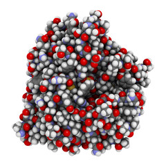 Poster - Nattokinase enzyme. Protein produced by Bacillus natto, present in the Japanese food Natto. 3D illustration.