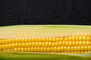 Wall Mural - Ear raw ripe corn dark background, closeup.