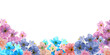 Banner con fiori colorati chiari, illustrazione isolata su sfondo bianco
