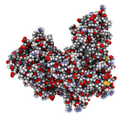 Sticker - Proprotein convertase subtilisin kexin type 9 (PCSK9) protein. Target of multiple investigational cholesterol lowering drugs.