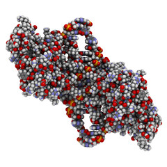 Wall Mural - NF-kB (nuclear factor kappa-light-chain-enhancer of activated B cells) protein complex. Plays a role in cancer and inflammation.