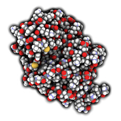 Poster - Carbapenemase carbapenem antibiotic resistance enzyme. Carbapenemase OXA-24 from the bacterium Acinetobacter baumannii.