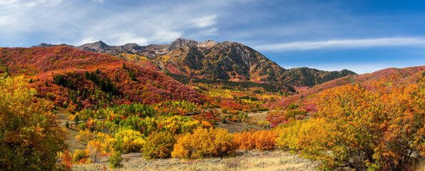 snow basin landscape in utah. brilliant fall foliage around mt ogden peaks.