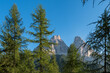 Dolomite peaks behind some trees