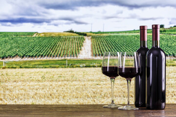 Wall Mural - Wine bottles and glasses on the background of vineyards. Tasting red wine in the vineyard.