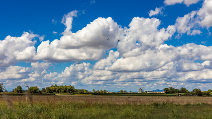 Countryside landscape sheep clouds