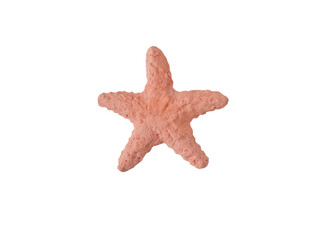 Wall Mural - Starfish decorative object isolated png