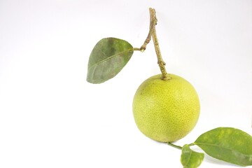 lime on a white fresh lemons on a white background