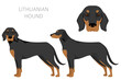 Lithuanian hound clipart. Different coat colors set