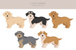 Lucas terrier clipart. Different coat colors set