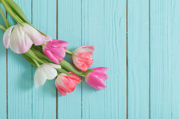 Wall Mural - pink and white  tulips on blue wooden background