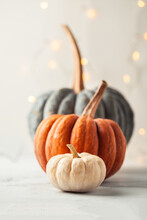 Orange Grey And White Pumpkins On The White Background. Halloween Background With Bokeh Lights Behind