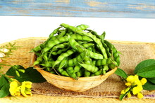 Garden Fresh Whole Green Pigeon Peas Beans Pod In Basket Also Known In India As Tuvar,congo Beans,gungo Beans,top View