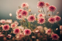 Digital Flower Light Stock Image