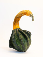 Green Decorative Swan Neck Pumpkin On A White Background
