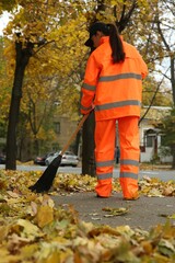 Street cleaner sweeping fallen leaves outdoors on autumn day, back view