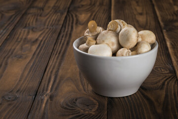 Wall Mural - Small mushrooms in a white cup on a wooden table.